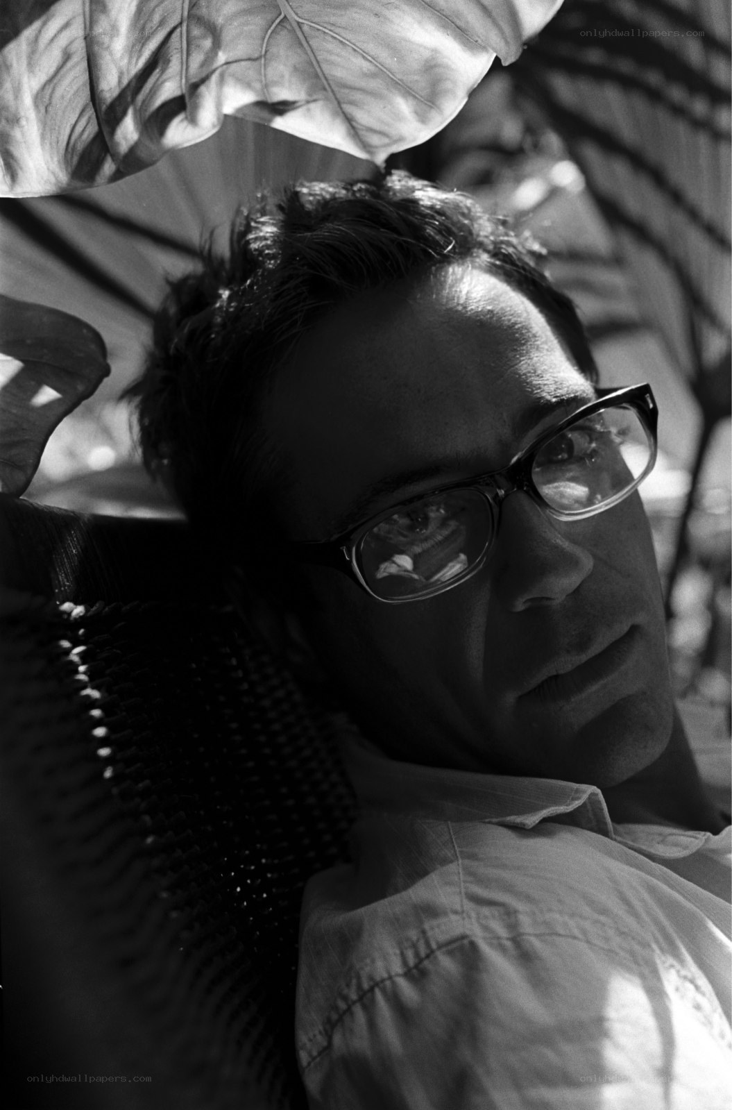 man in glasses under leaves