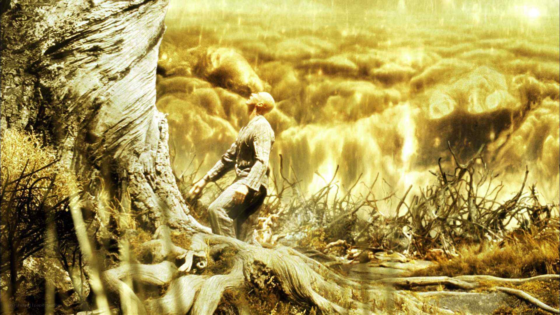 man in golden landscape