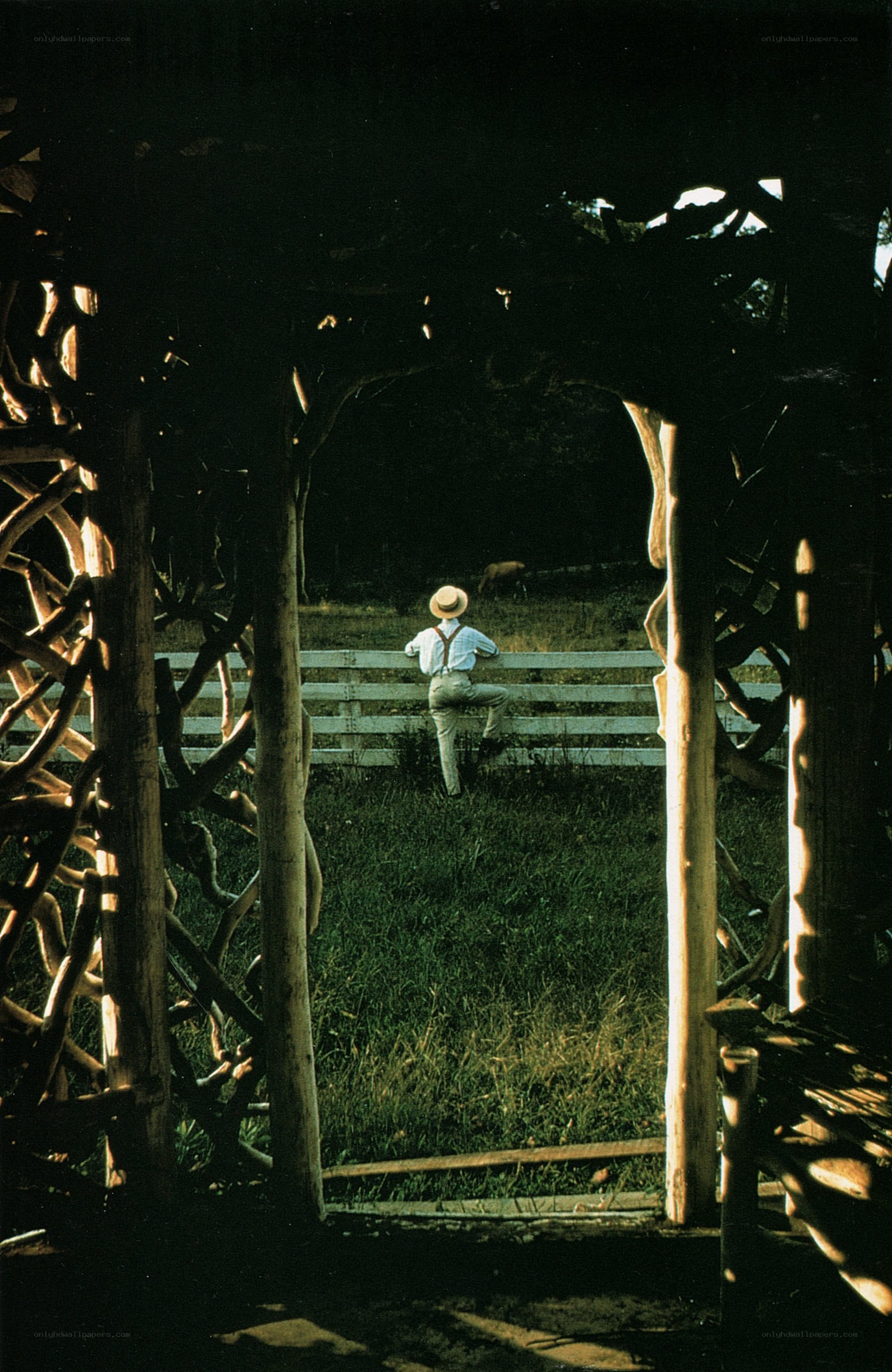Man in hat by fence