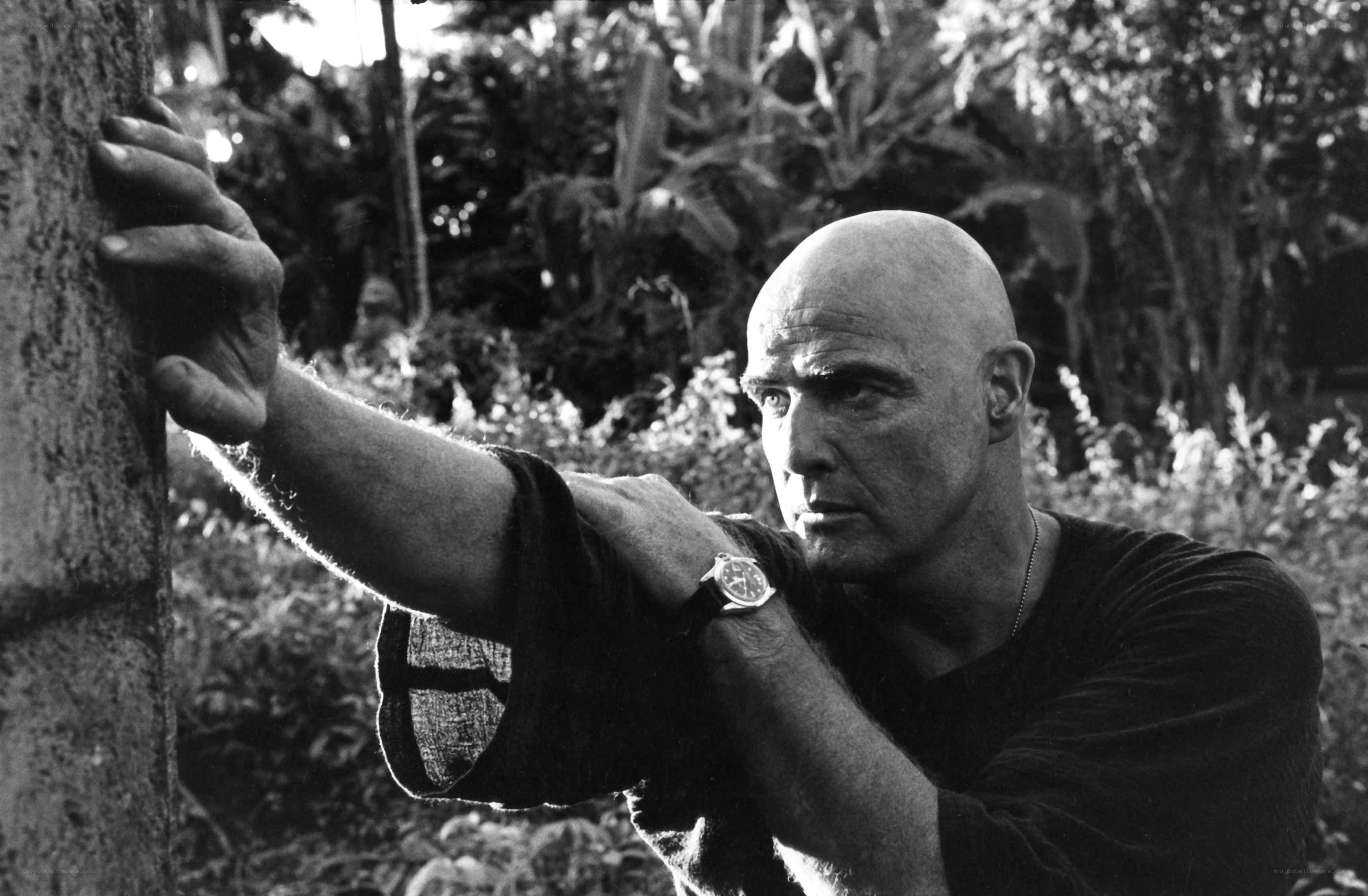 man in jungle holding tree