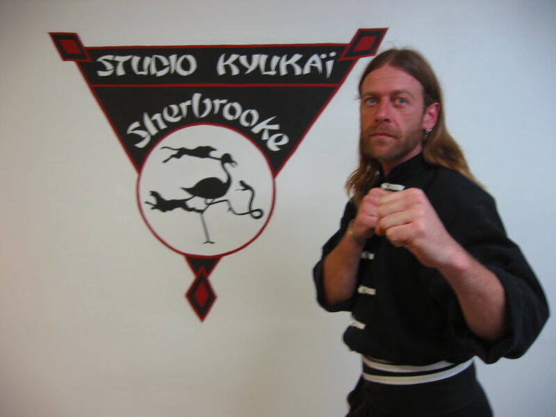 Man in Martial Arts Pose — Black