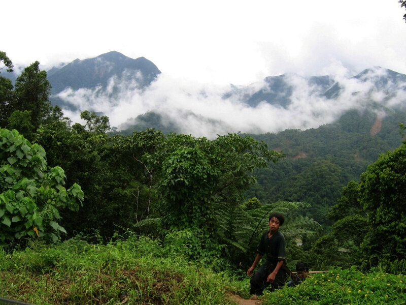 Man in mountainous forest
