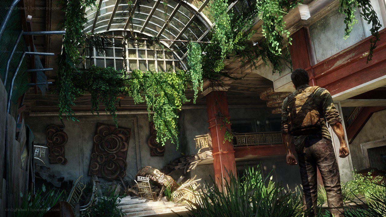 man in overgrown ruin