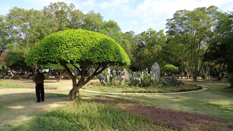 Man in Park