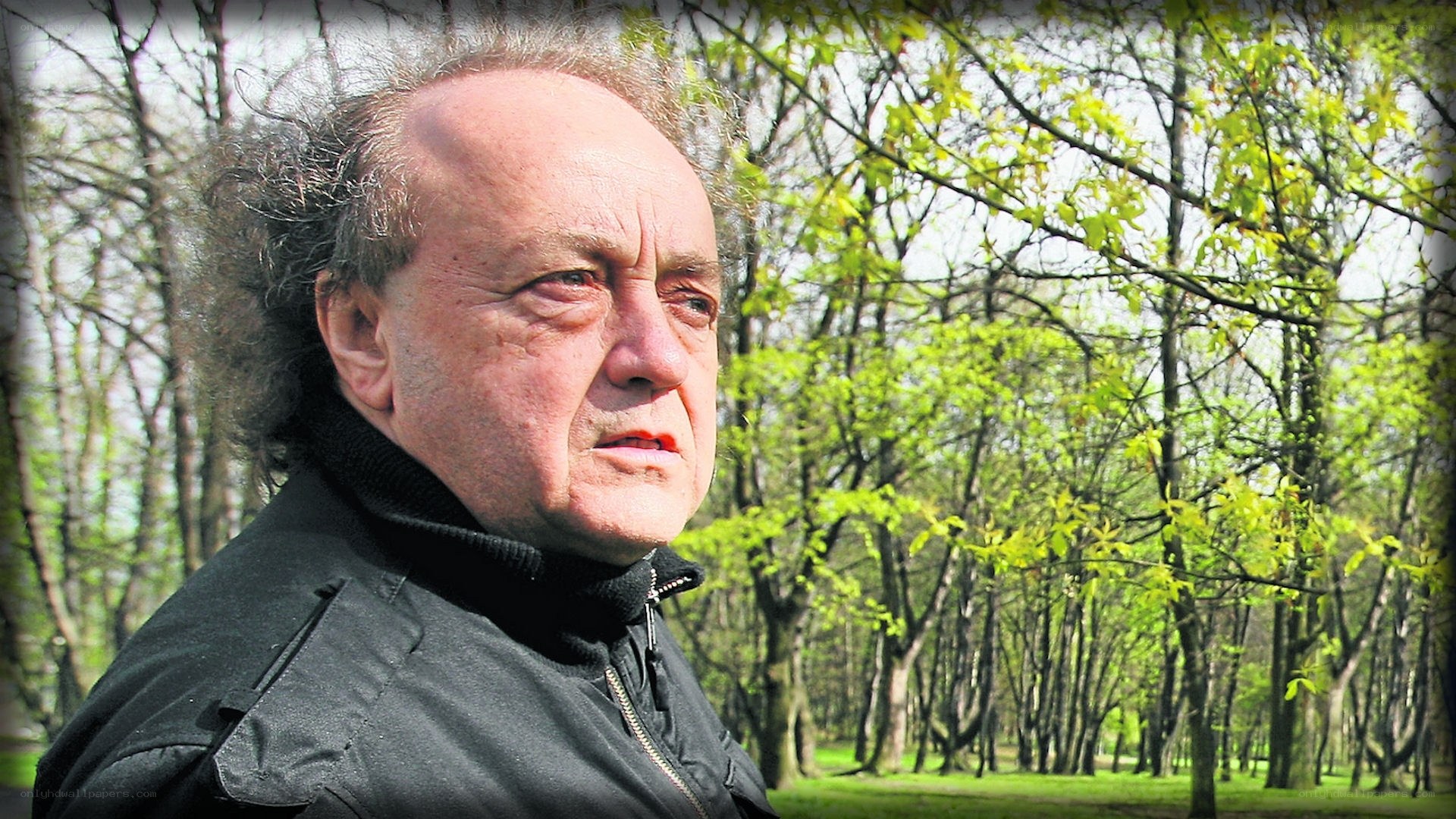man in park with trees