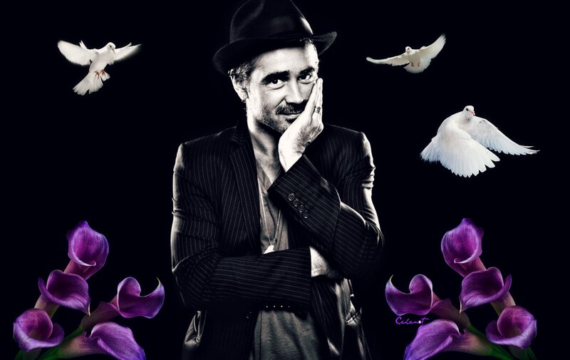 Man in Pinstripe Suit — Black, Dramatic, Photograph, Doves