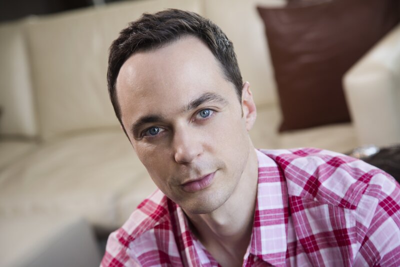Man in Plaid Shirt — Red, Neutral, Photograph, Couch
