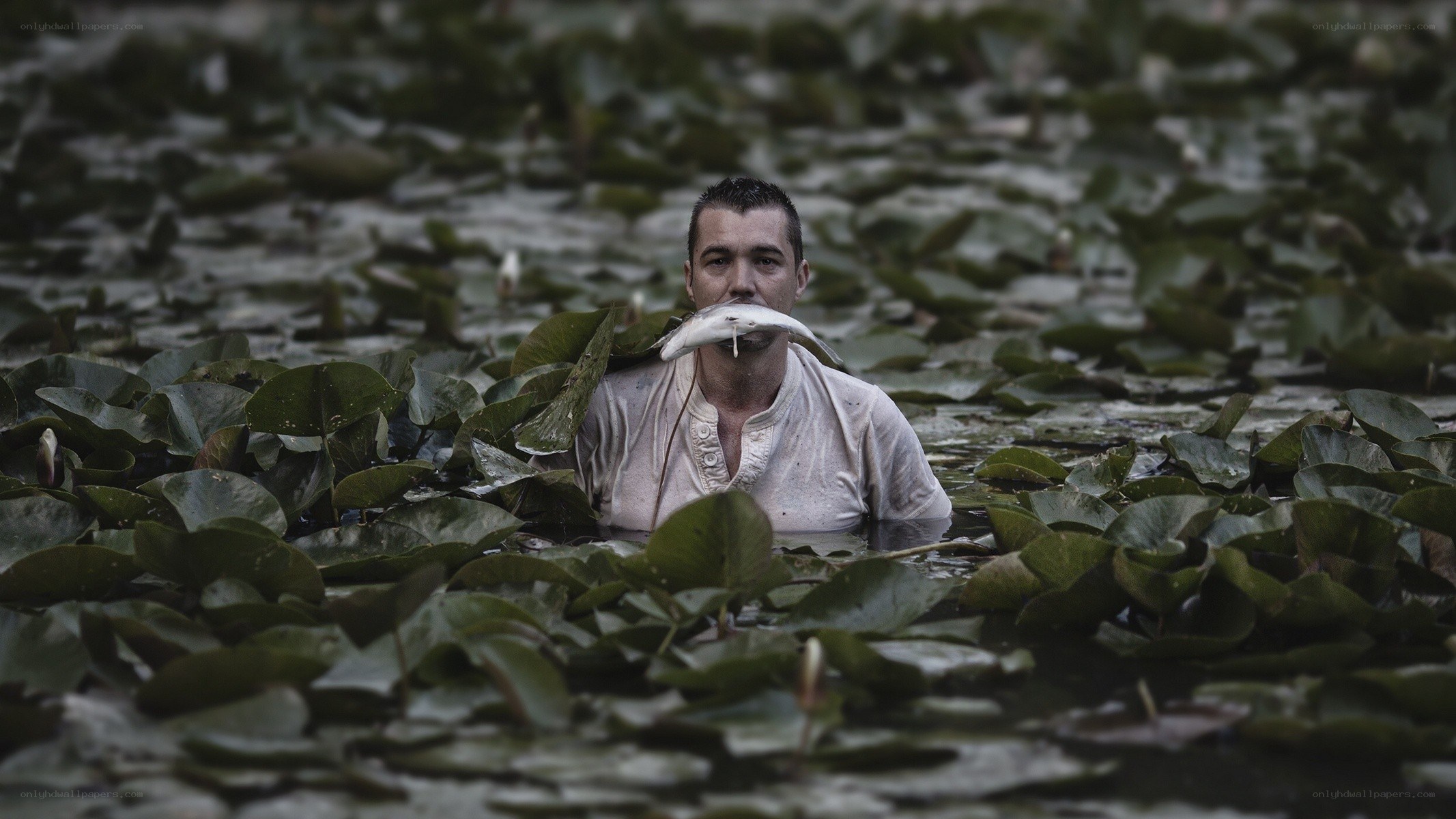 man in pond with fish