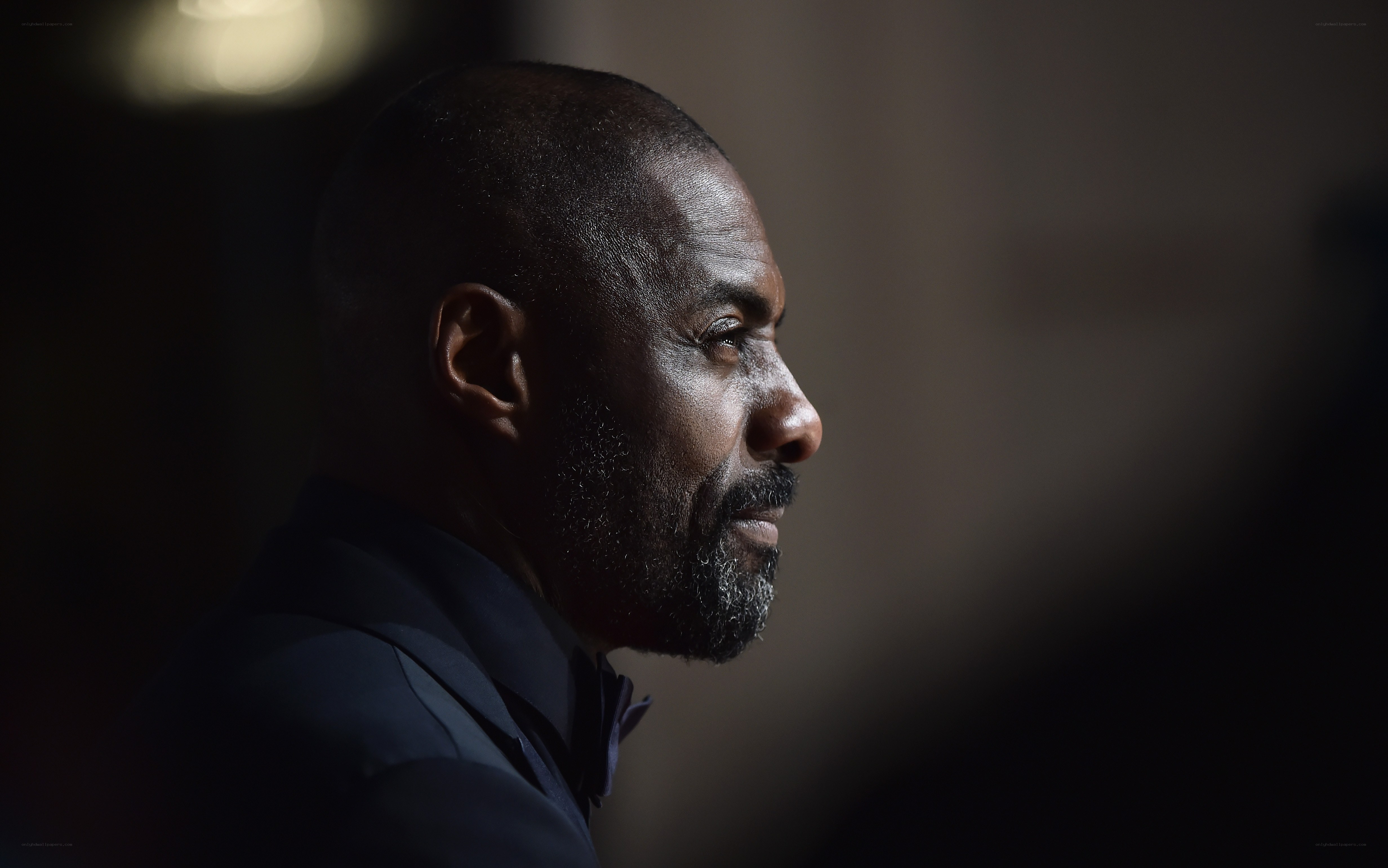 man in profile wearing suit