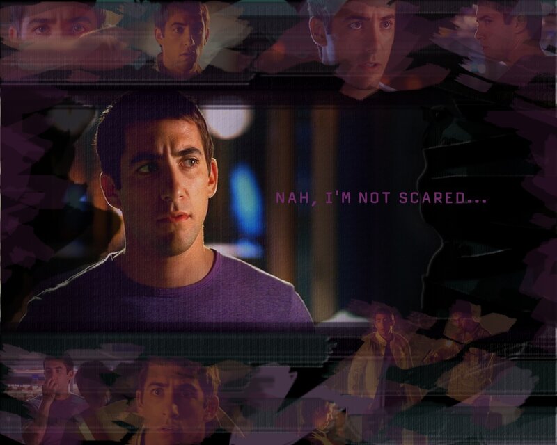 Man in Purple Shirt — Dramatic, Intense