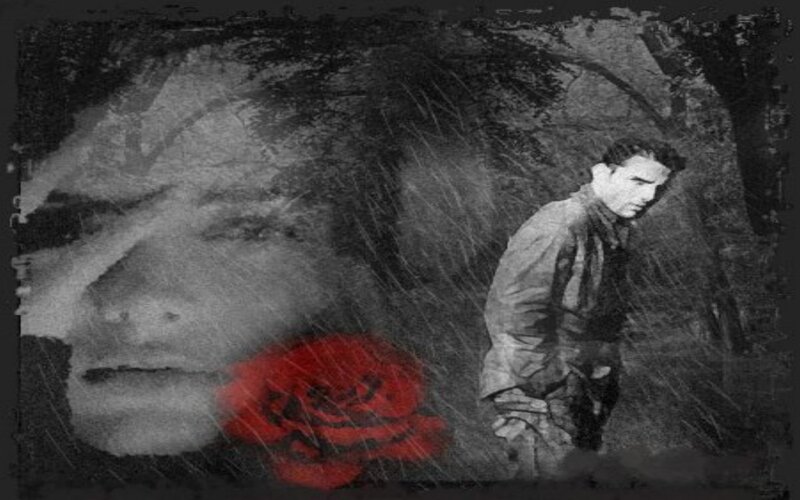 Man in Rain with Rose