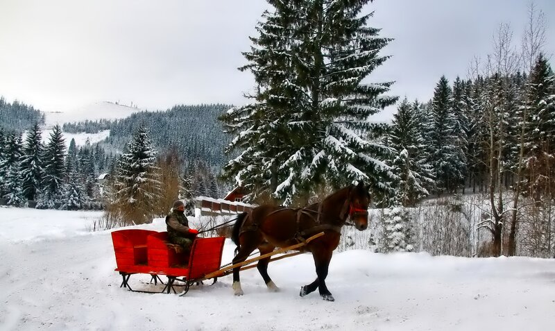 Man in Red Sleigh