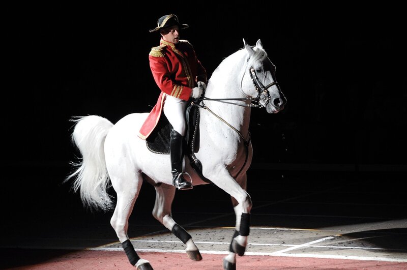 Man in red uniform on white horse