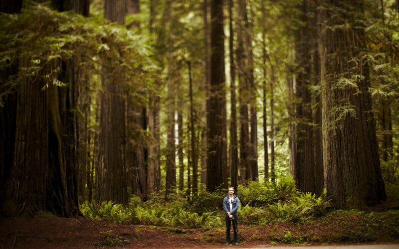 Man in Redwood Forest — Green, Serene, Afternoon, Photograph, Trees