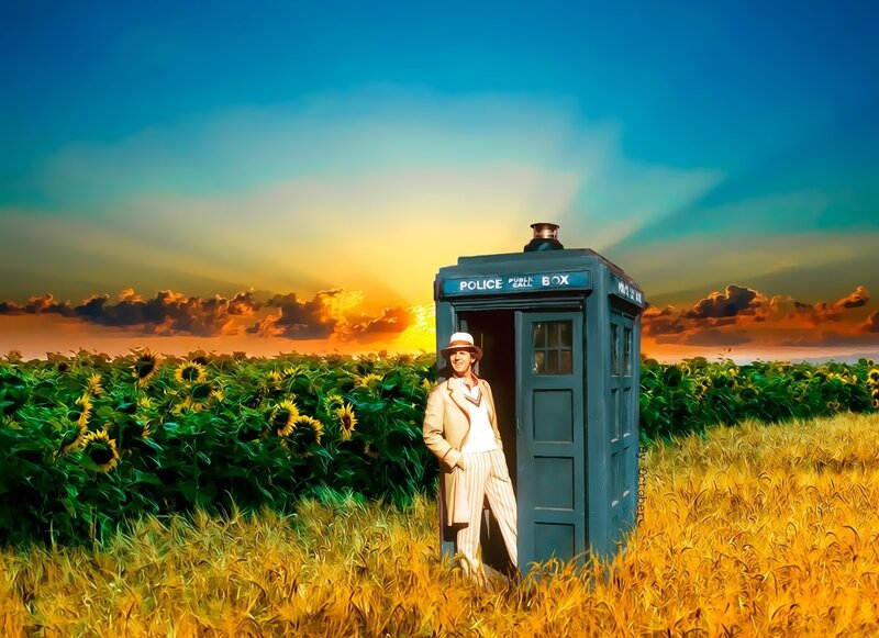 Man in Sunflower Field