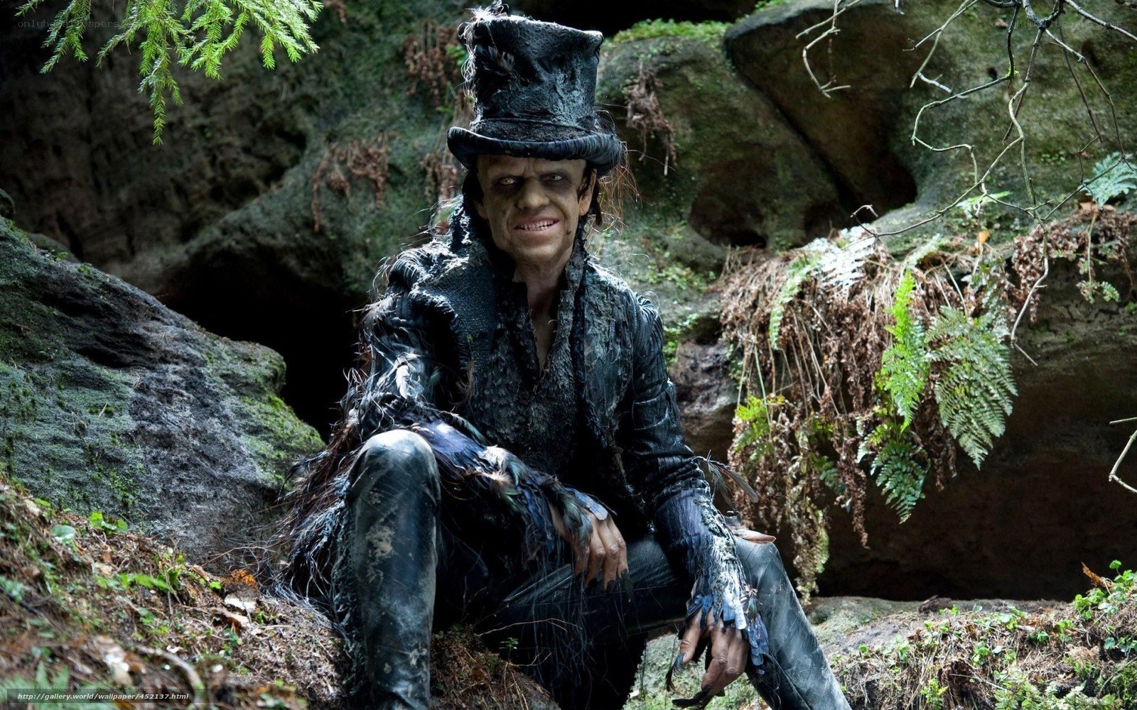 man in top hat in forest