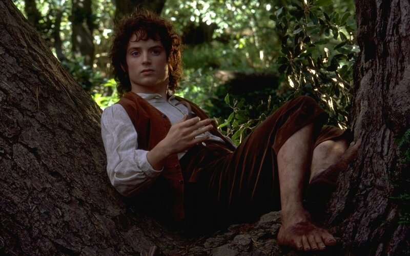 Man in Tree Hollow