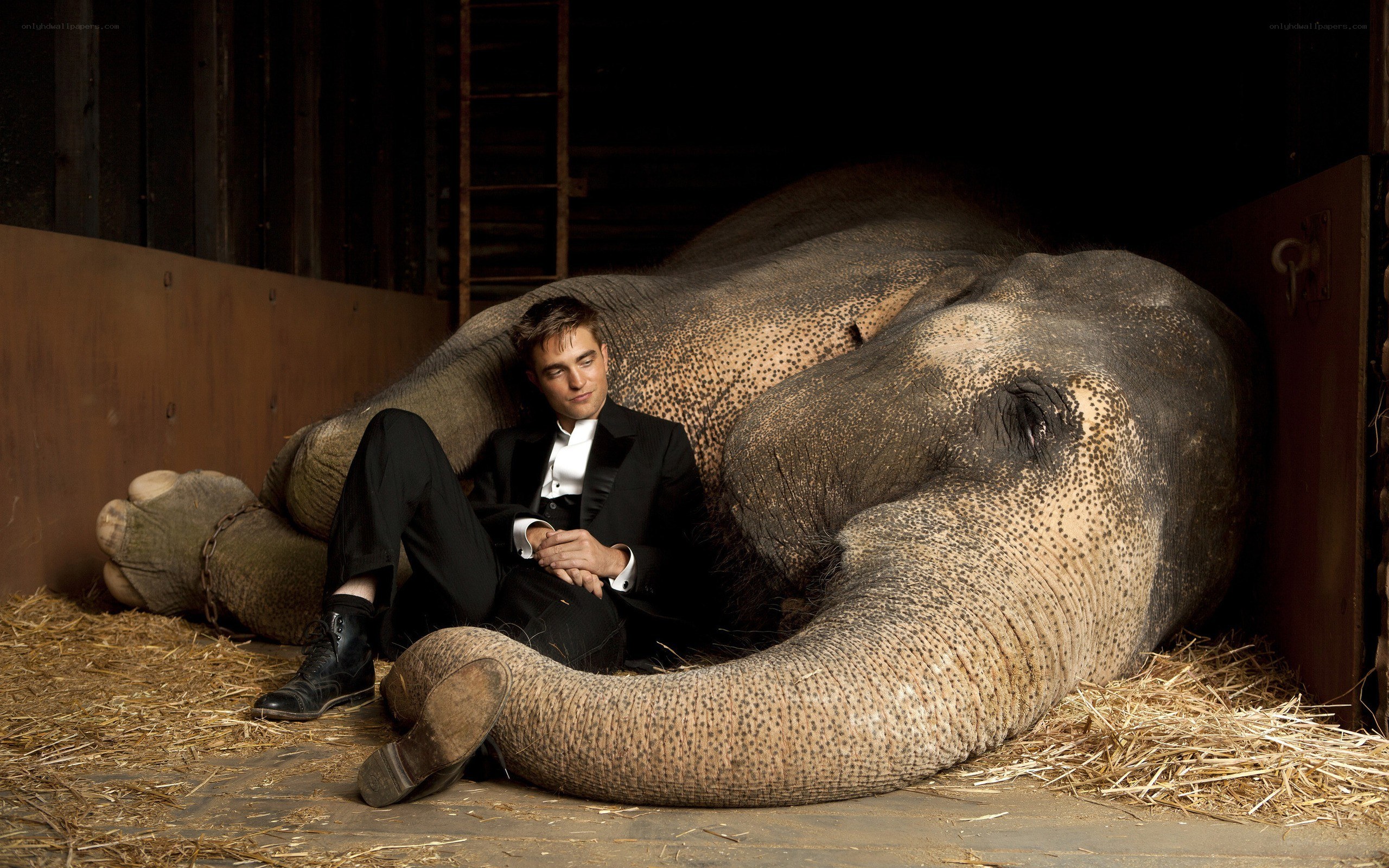man in tuxedo with elephant