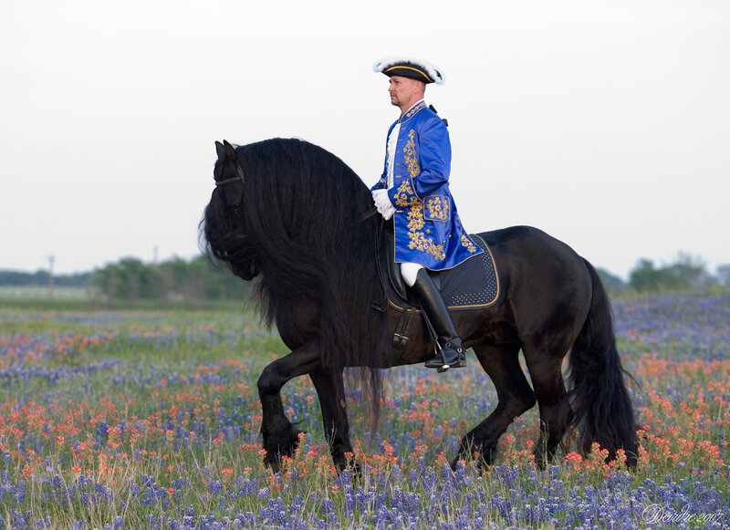 Man in uniform on black horse