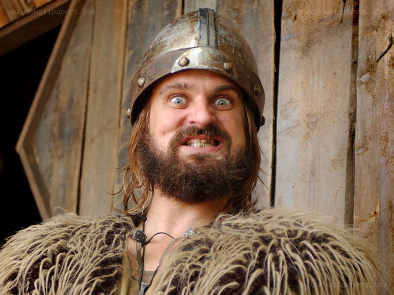 man in viking helmet