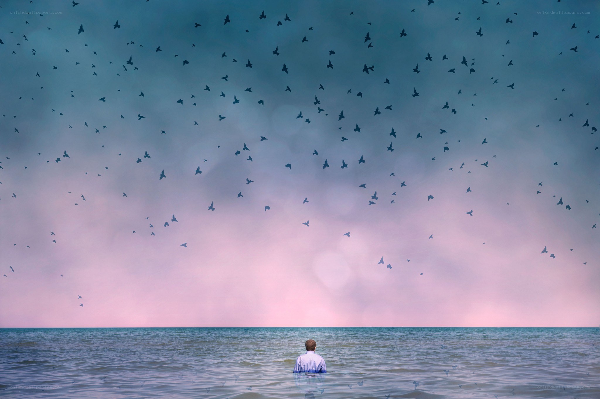 Man in water under birds