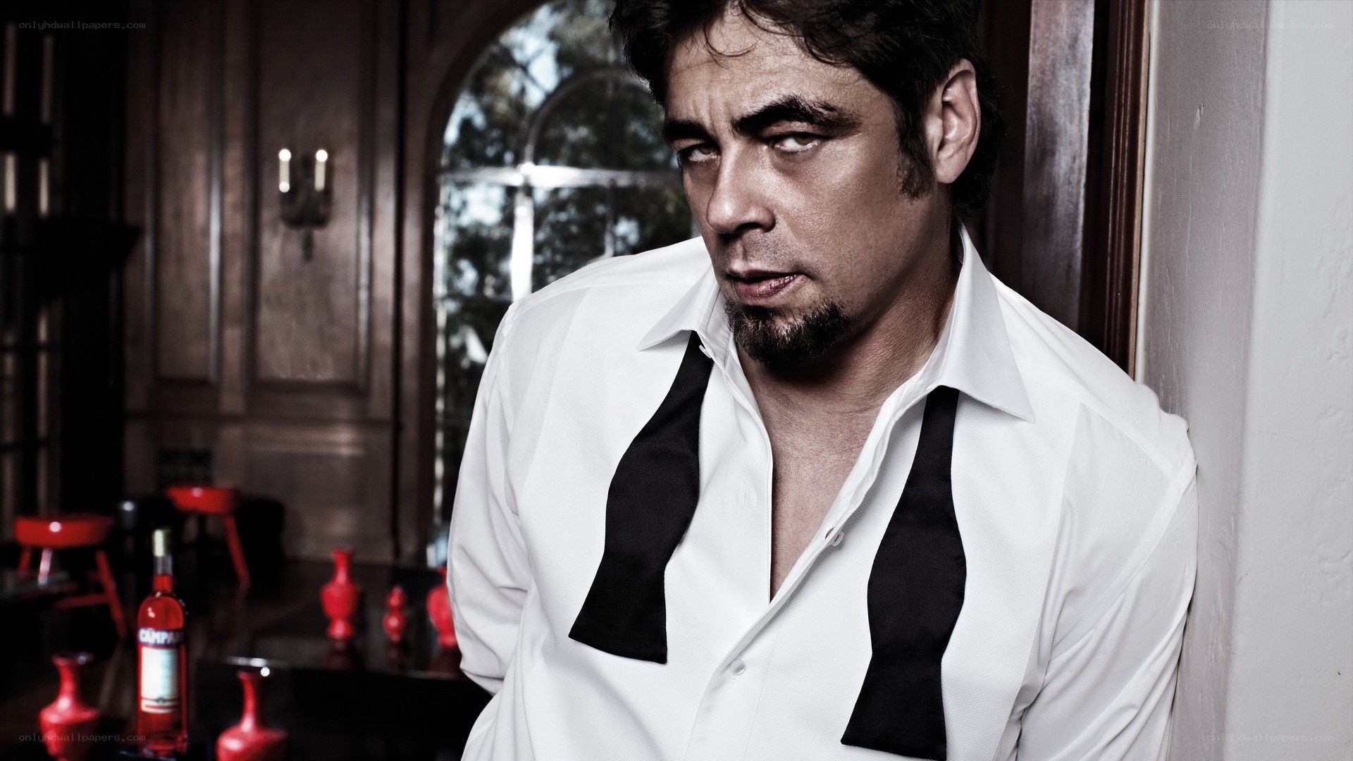man in white shirt with bow tie