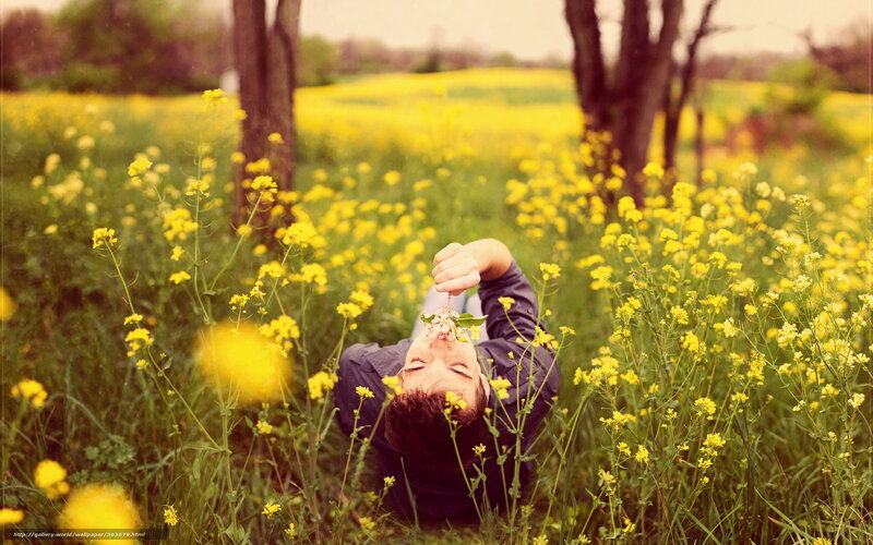 man in yellow flower field
