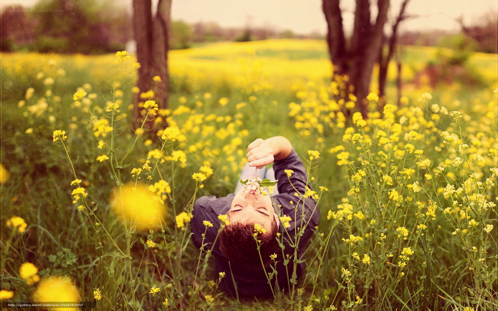 man in yellow flower field