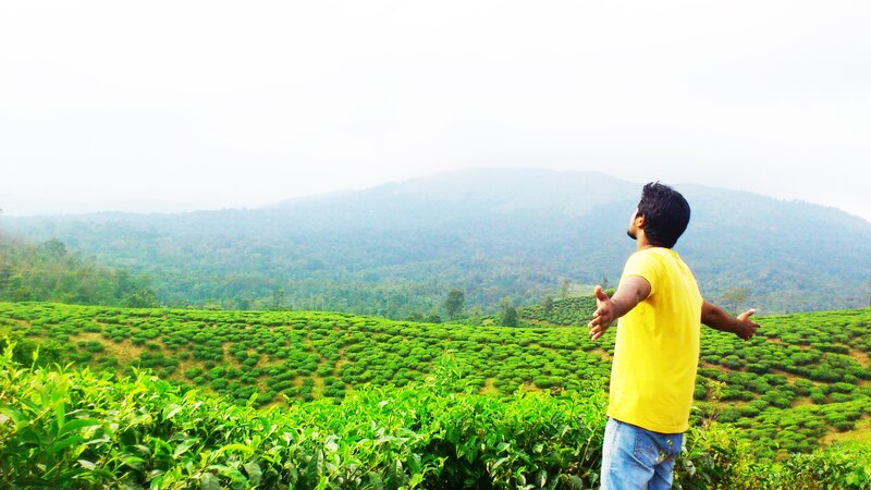 Man in yellow shirt on tea plantation