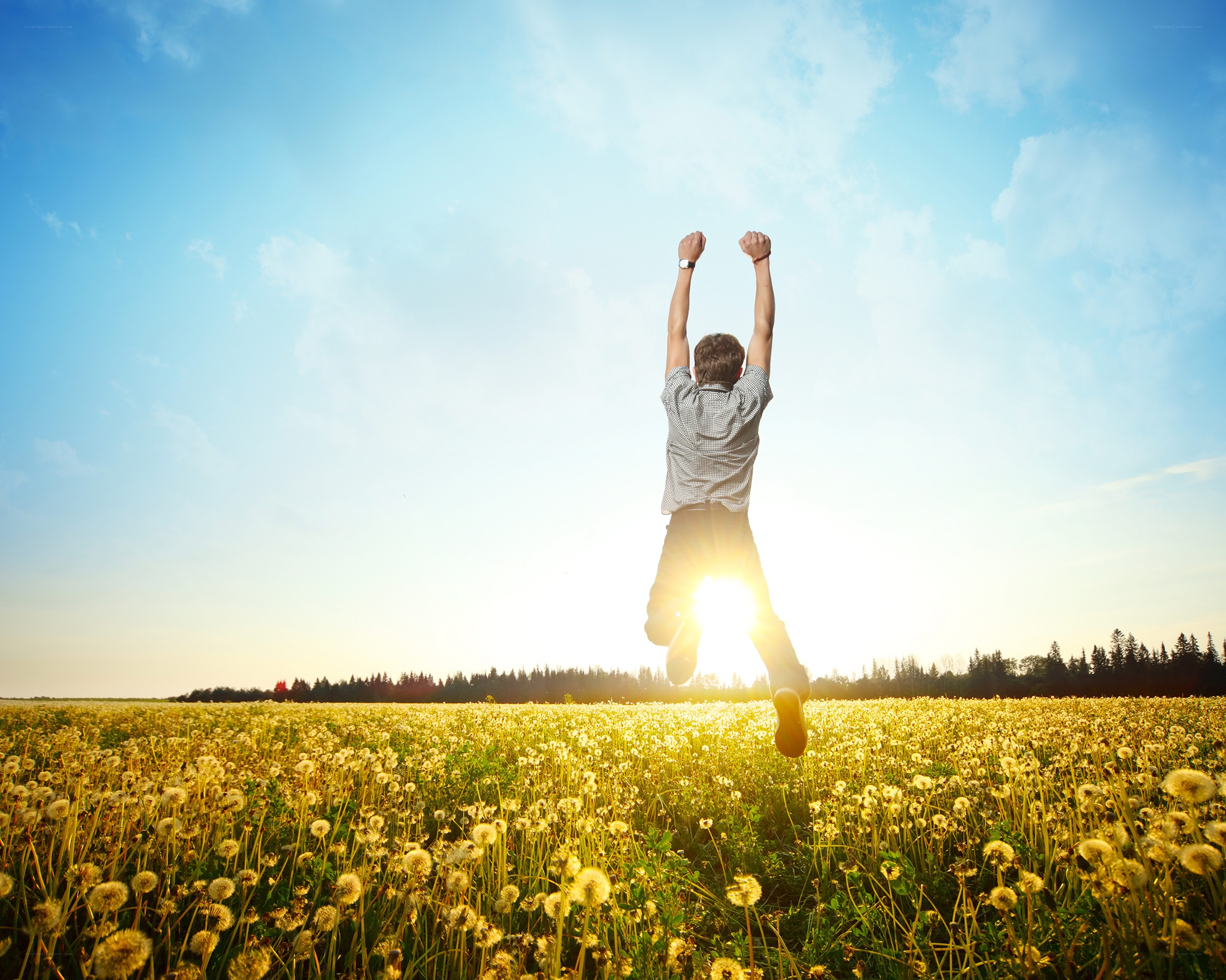 Man jumping in a dandelion field
