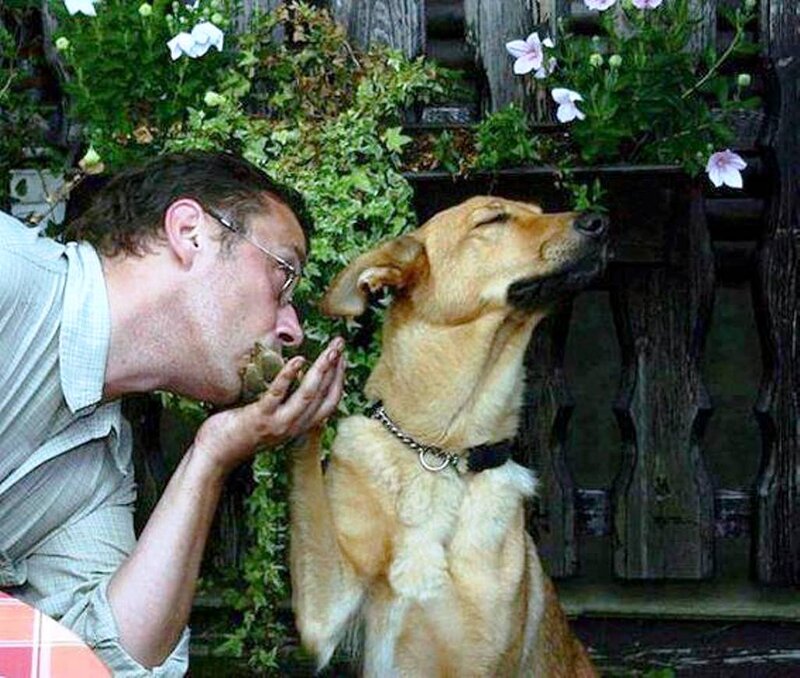 Man Kissing Dog — Brown, Affectionate