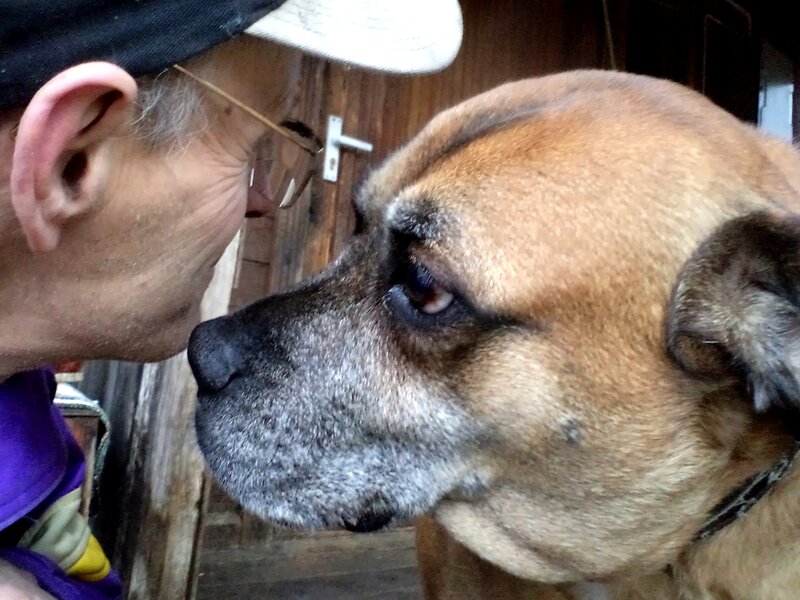 Man Kissing Dog — Brown