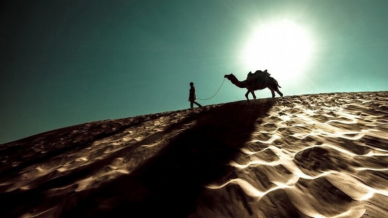 Man Leading Camel — Brown