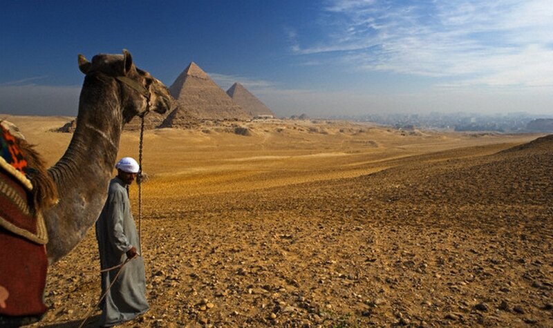 Man Leading Camel