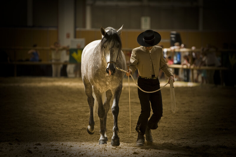 Man leading horse in arena