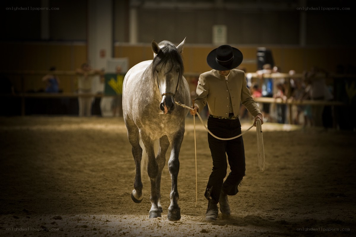 Man leading horse in arena