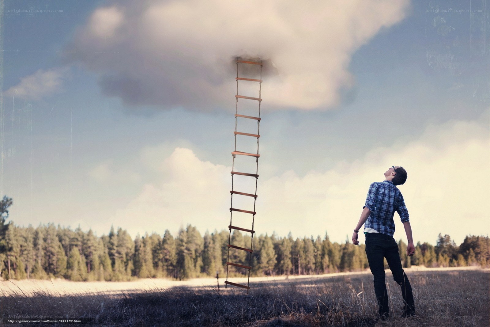 Man looking at ladder to cloud