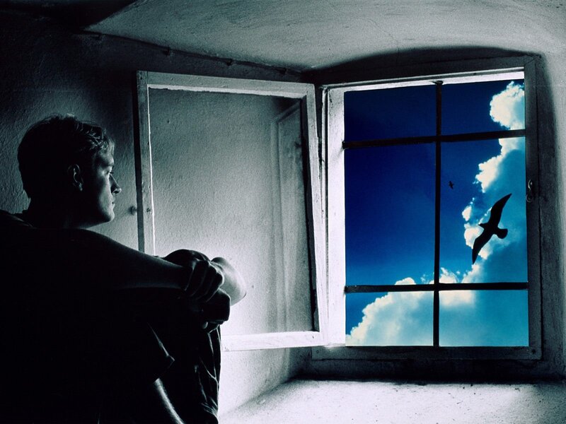 Man looking out window at birds