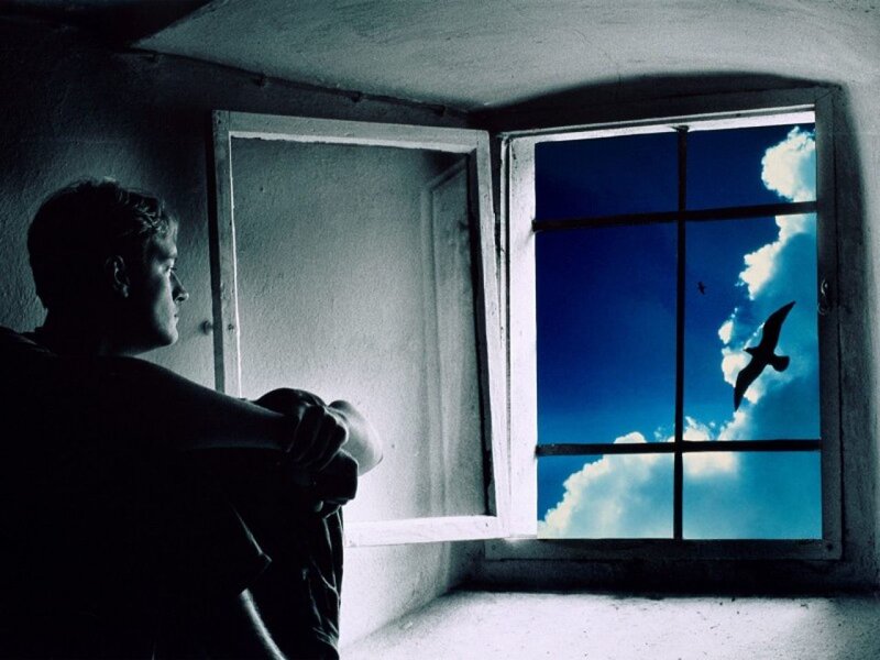 Man Looking Out Window — Blue
