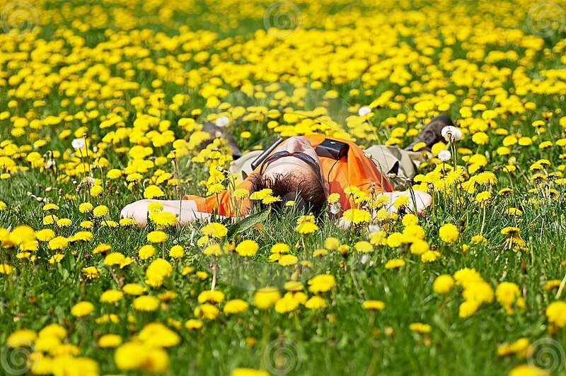 Man Lying in Dandelions