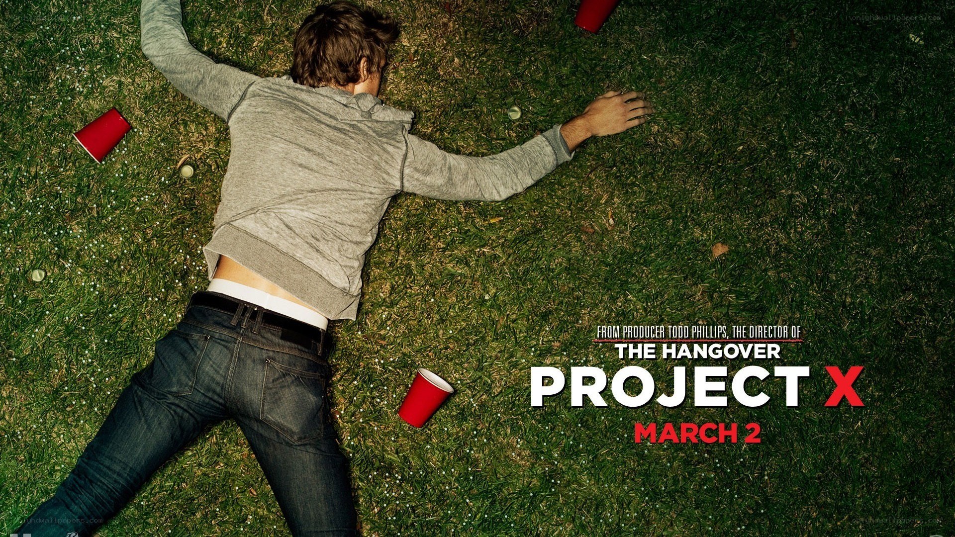 Man lying on grass with cups