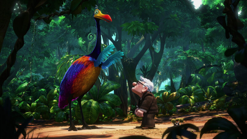 man meets colorful bird in jungle