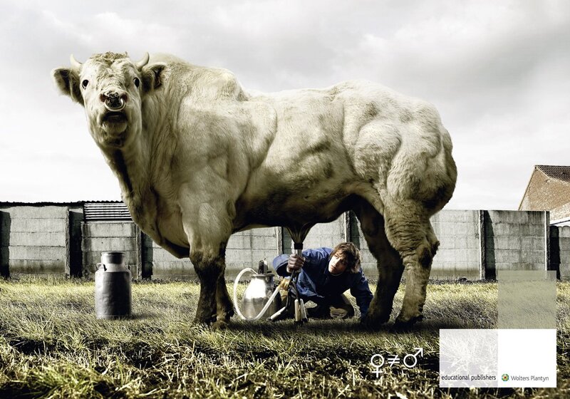 Man milking a bull