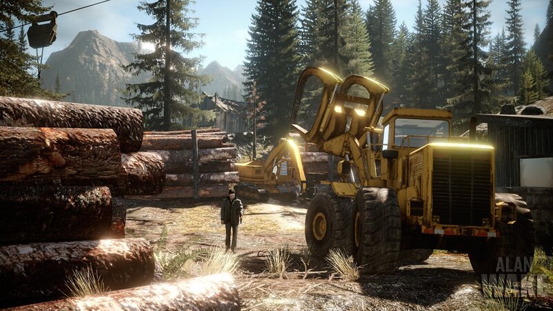 Man Near Logging Equipment — Yellow