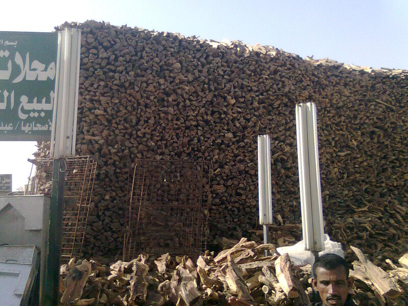 Man Near Wood Pile