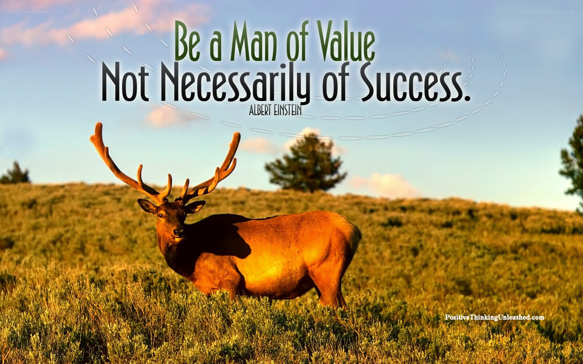 Man of Value Quote
