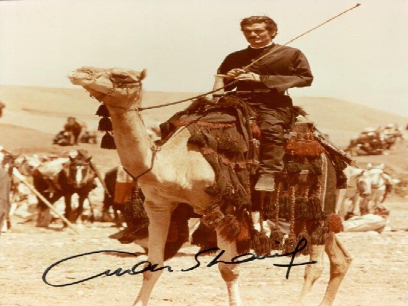 Man on a Camel