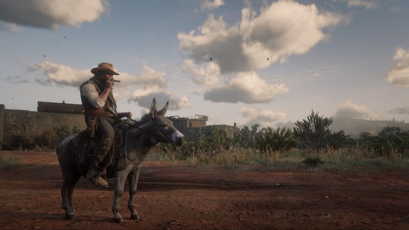 Man on a Donkey