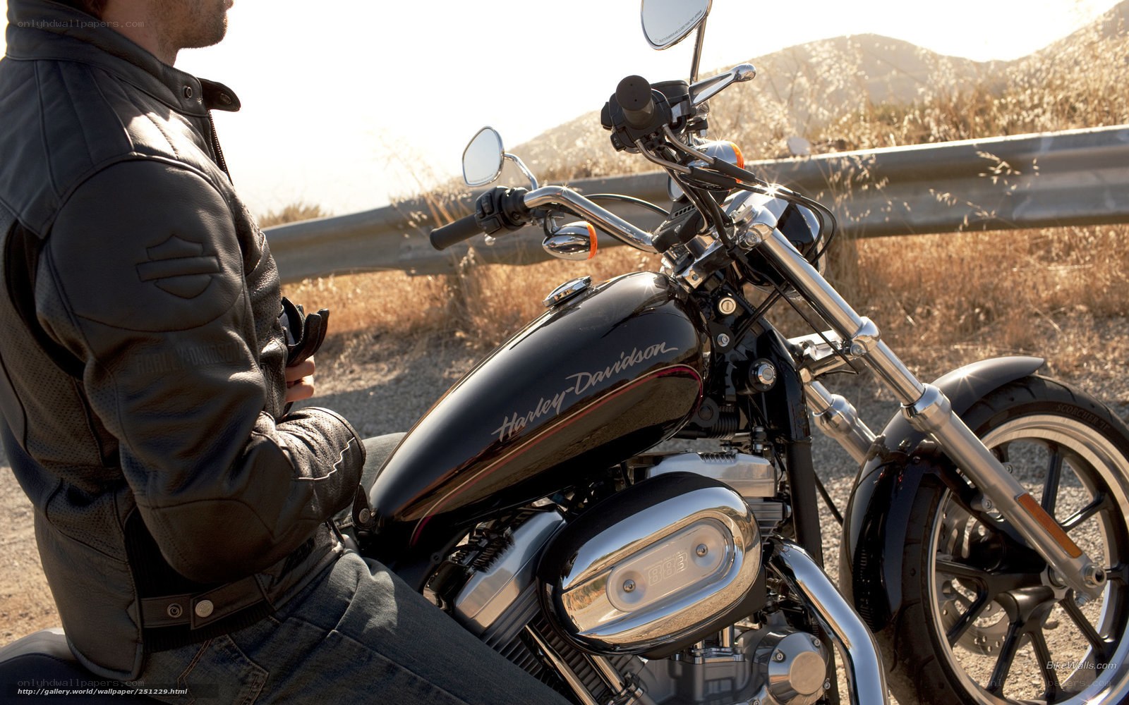 Man on a Harley-Davidson motorcycle