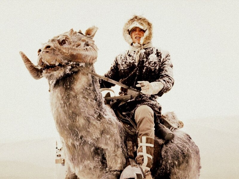 Man on a Tauntaun
